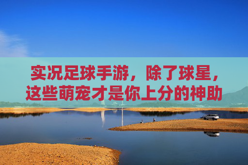 实况足球手游,除了球星,这些萌宠才是你上分的神助攻!