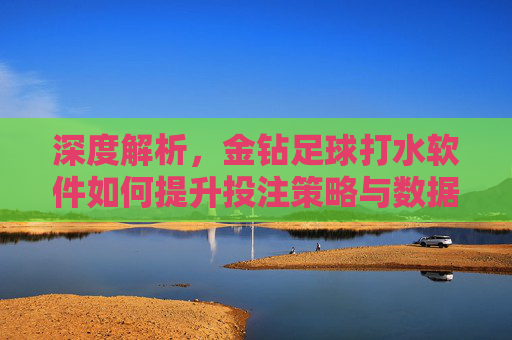 深度解析,金钻足球打水软件如何提升投注策略与数据分析效率