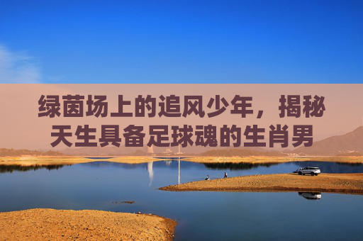 绿茵场上的追风少年,揭秘天生具备足球魂的生肖男