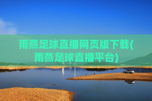 雨燕足球直播网页版下载(雨燕足球直播平台)