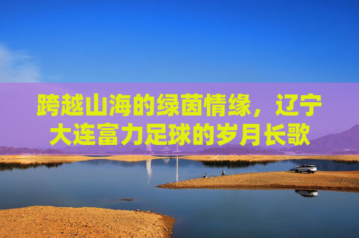 跨越山海的绿茵情缘,辽宁大连富力足球的岁月长歌