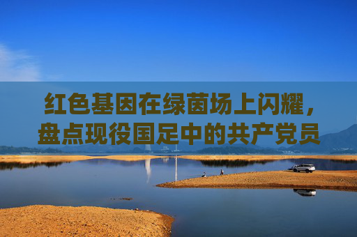 红色基因在绿茵场上闪耀,盘点现役国足中的共产党员