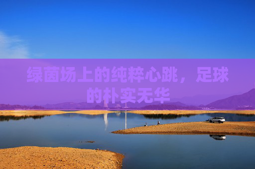 绿茵场上的纯粹心跳,足球的朴实无华