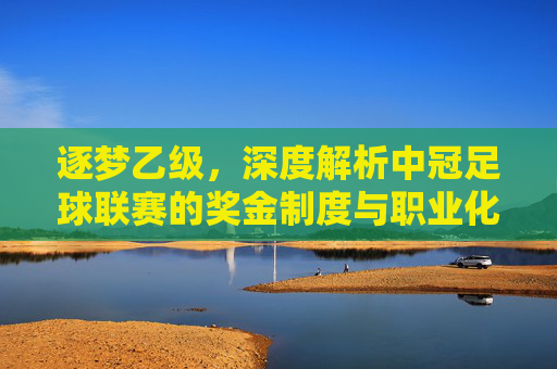 逐梦乙级,深度解析中冠足球联赛的奖金制度与职业化动力
