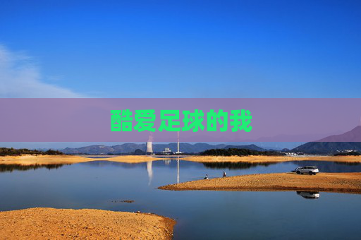 酷爱足球的我