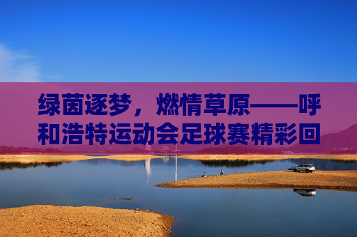 绿茵逐梦,燃情草原——呼和浩特运动会足球赛精彩回顾