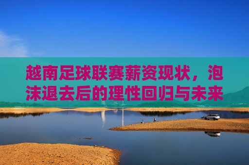 越南足球联赛薪资现状,泡沫退去后的理性回归与未来展望