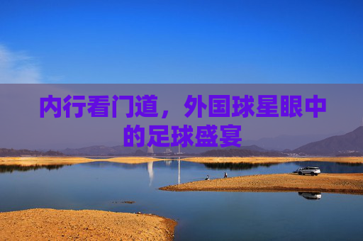 内行看门道,外国球星眼中的足球盛宴