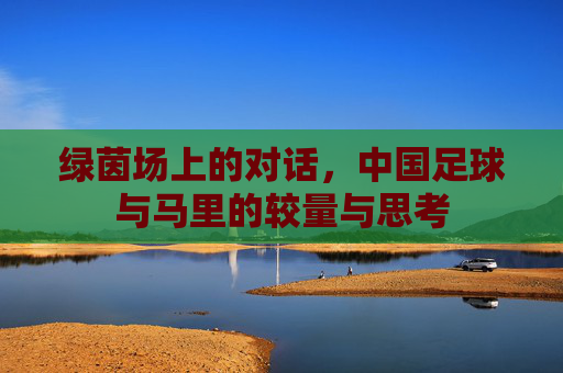 绿茵场上的对话,中国足球与马里的较量与思考