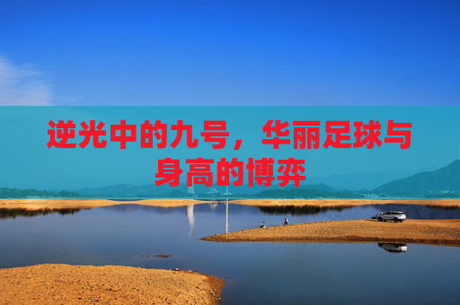 逆光中的九号,华丽足球与身高的博弈