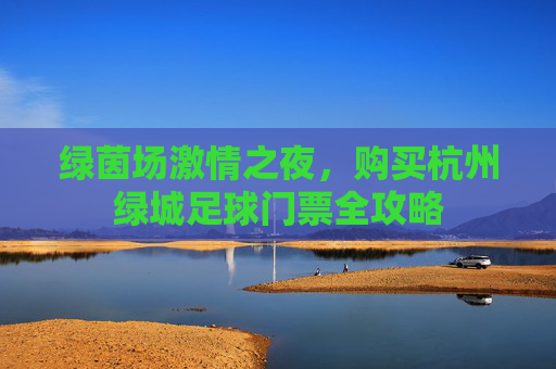 绿茵场激情之夜,购买杭州绿城足球门票全攻略