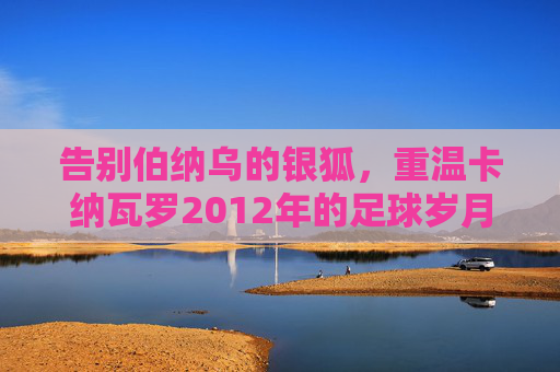 告别伯纳乌的银狐,重温卡纳瓦罗2012年的足球岁月