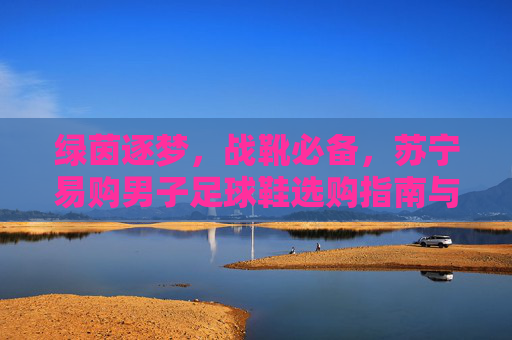 绿茵逐梦,战靴必备,苏宁易购男子足球鞋选购指南与推荐