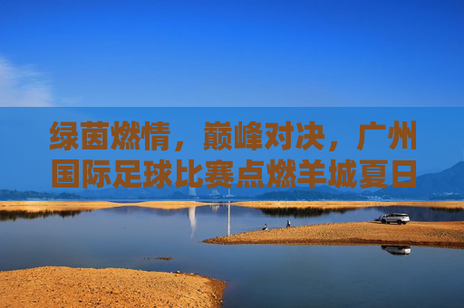 绿茵燃情,巅峰对决,广州国际足球比赛点燃羊城夏日激情