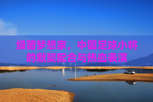 绿茵梦想家,中国足球小将的默契配合与热血表演