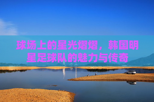 球场上的星光熠熠,韩国明星足球队的魅力与传奇
