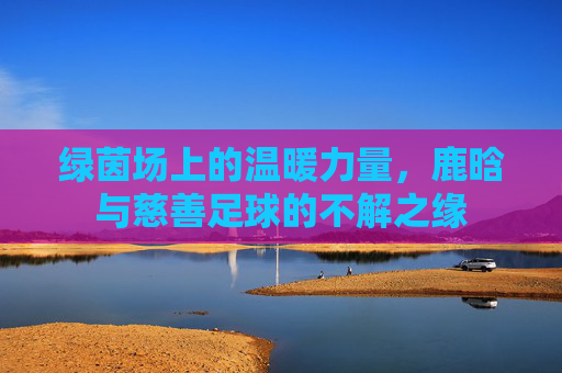 绿茵场上的温暖力量,鹿晗与慈善足球的不解之缘