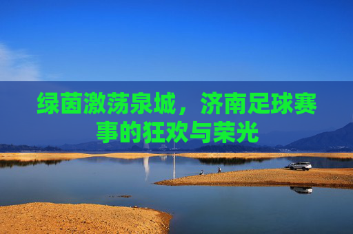 绿茵激荡泉城,济南足球赛事的狂欢与荣光
