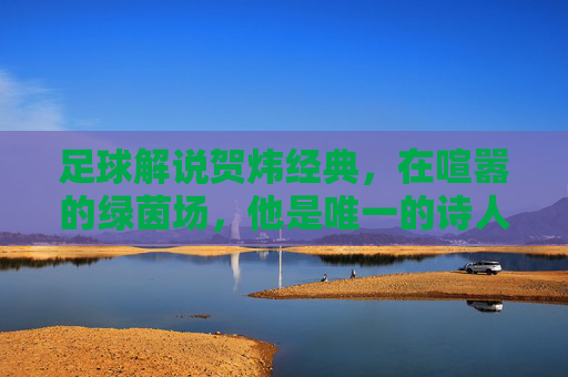 足球解说贺炜经典,在喧嚣的绿茵场,他是唯一的诗人