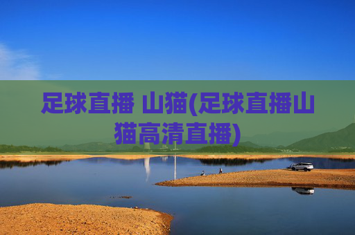 足球直播 山猫(足球直播山猫高清直播)