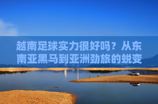 越南足球实力很好吗?从东南亚黑马到亚洲劲旅的蜕变与局限