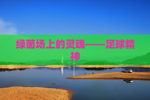 绿茵场上的灵魂——足球精神
