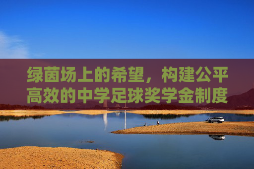 绿茵场上的希望,构建公平高效的中学足球奖学金制度