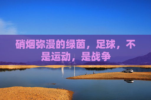 硝烟弥漫的绿茵,足球,不是运动,是战争