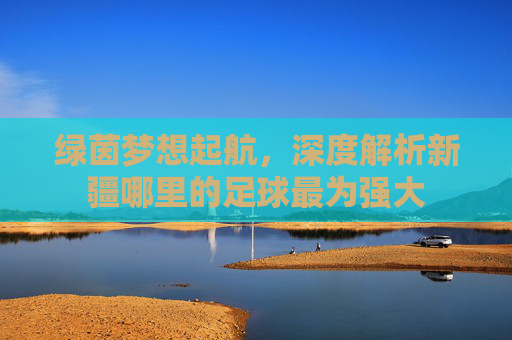 绿茵梦想起航,深度解析新疆哪里的足球最为强大