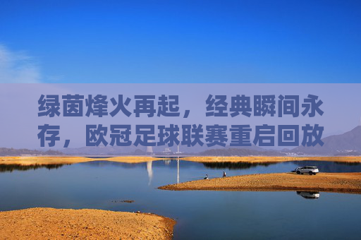 绿茵烽火再起,经典瞬间永存,欧冠足球联赛重启回放全解析