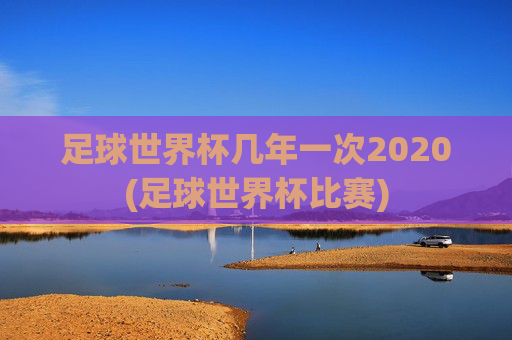 足球世界杯几年一次2020(足球世界杯比赛)