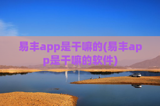 易丰app是干嘛的(易丰app是干嘛的软件)