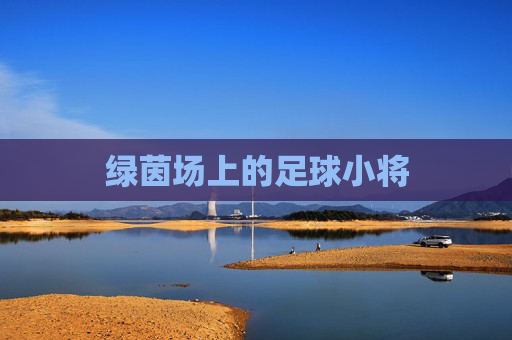绿茵场上的足球小将