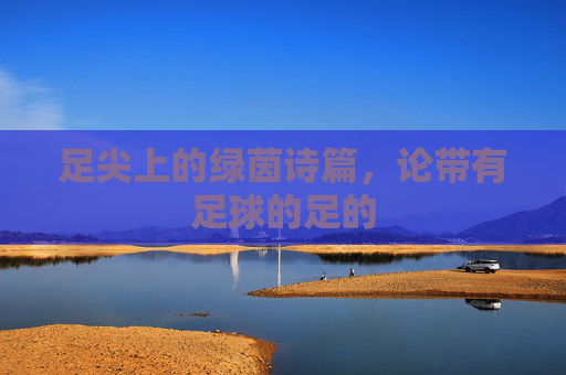 足尖上的绿茵诗篇,论带有足球的足的