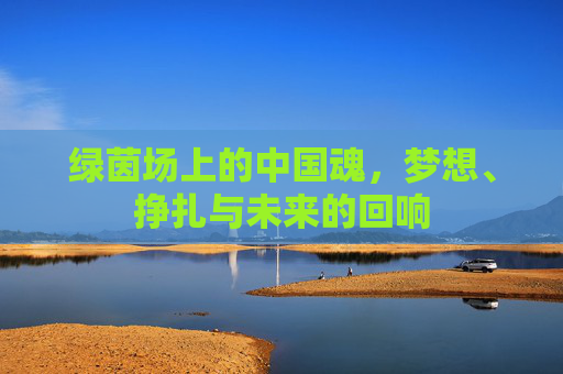 绿茵场上的中国魂,梦想、挣扎与未来的回响