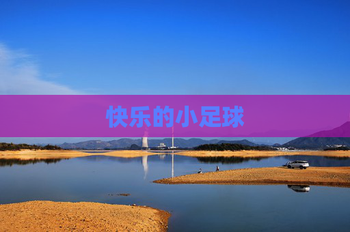 快乐的小足球