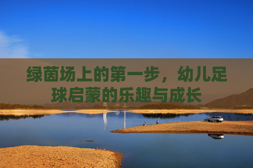 绿茵场上的第一步,幼儿足球启蒙的乐趣与成长