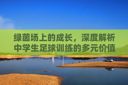 绿茵场上的成长,深度解析中学生足球训练的多元价值