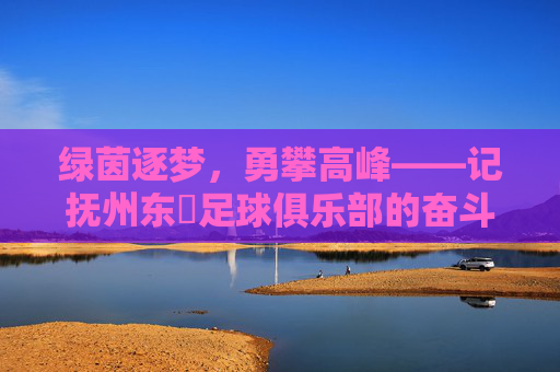 绿茵逐梦,勇攀高峰——记抚州东昇足球俱乐部的奋斗与荣耀