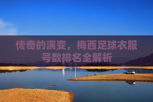 传奇的演变,梅西足球衣服号数排名全解析