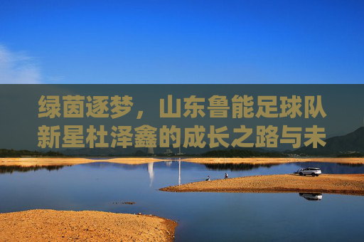 绿茵逐梦,山东鲁能足球队新星杜泽鑫的成长之路与未来展望