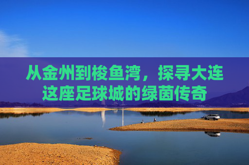 从金州到梭鱼湾,探寻大连这座足球城的绿茵传奇