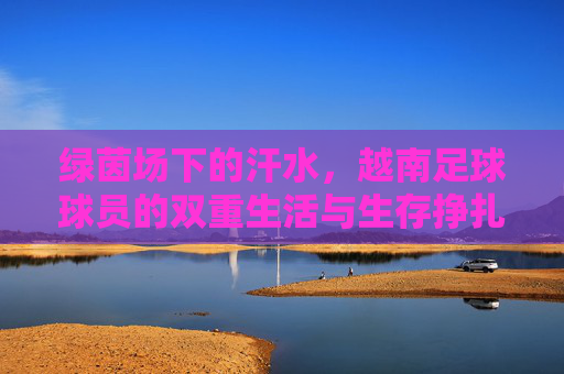绿茵场下的汗水,越南足球球员的双重生活与生存挣扎
