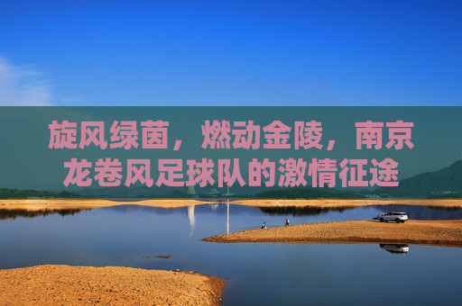 旋风绿茵,燃动金陵,南京龙卷风足球队的激情征途