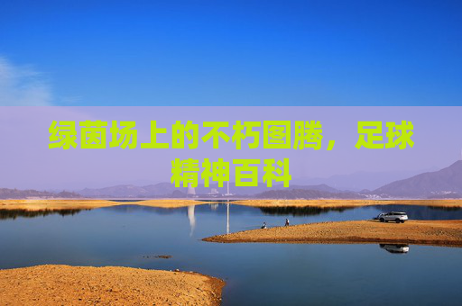 绿茵场上的不朽图腾,足球精神百科