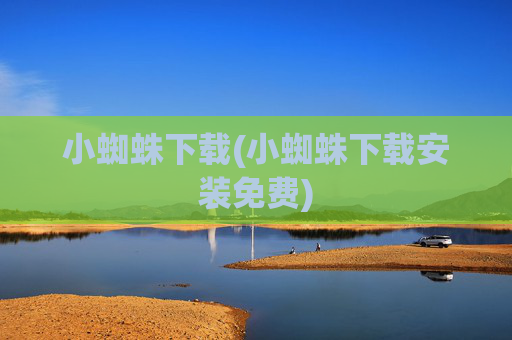 小蜘蛛下载(小蜘蛛下载安装免费)