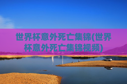 世界杯意外死亡集锦(世界杯意外死亡集锦视频)