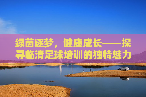 绿茵逐梦,健康成长——探寻临清足球培训的独特魅力