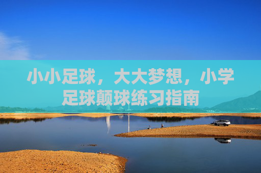 小小足球,大大梦想,小学足球颠球练习指南