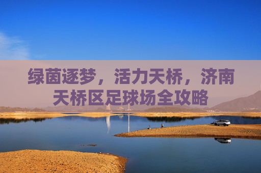 绿茵逐梦,活力天桥,济南天桥区足球场全攻略